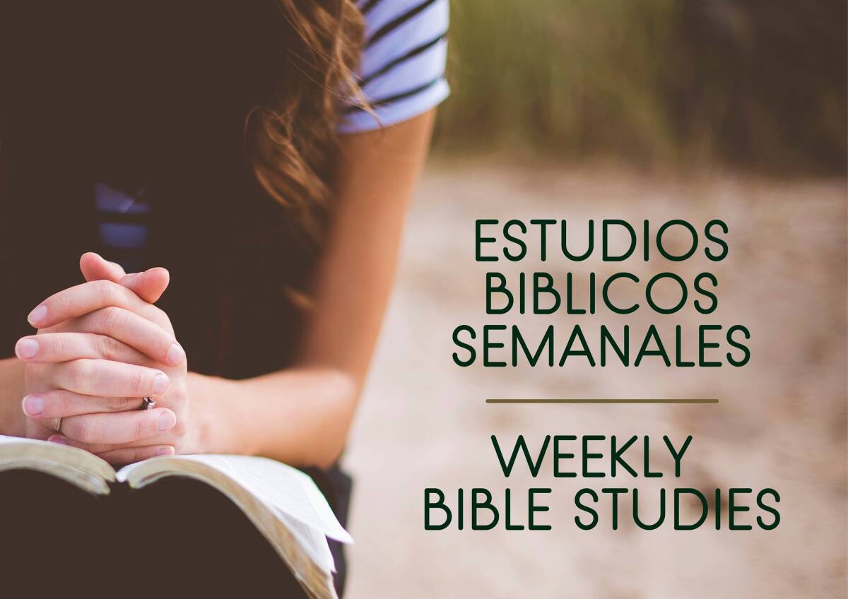 Bible Studies – Estudios Bíblicos